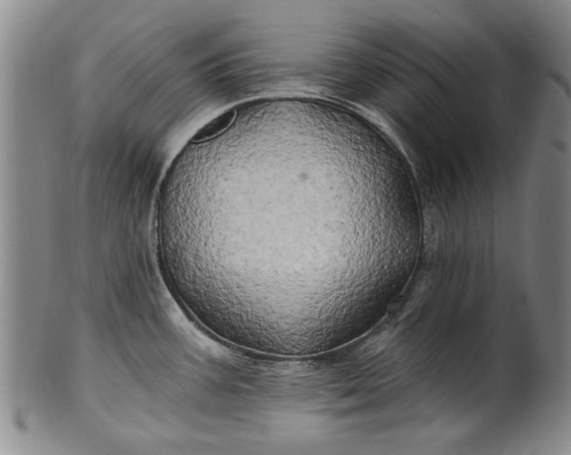 X0000100971387200807081208