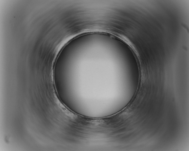 X0000100971388200807081208