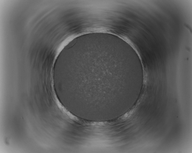 X0000100971389200807081208