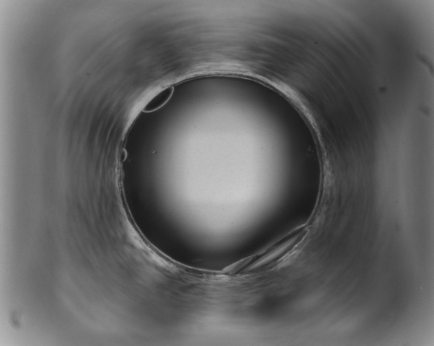 X0000100971390200807081208