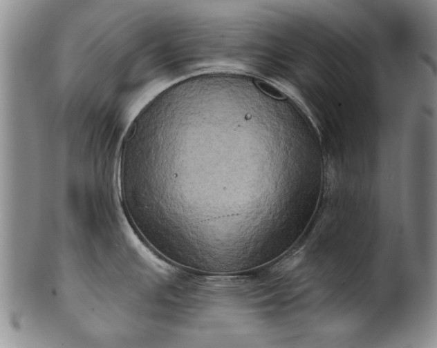 X0000100971391200807081208