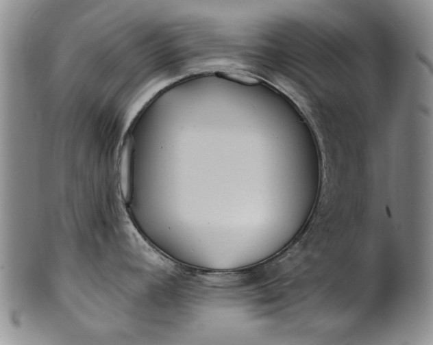 X0000100971392200807081208