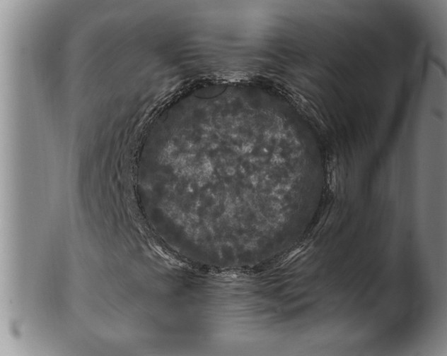 X0000100971393200807081208