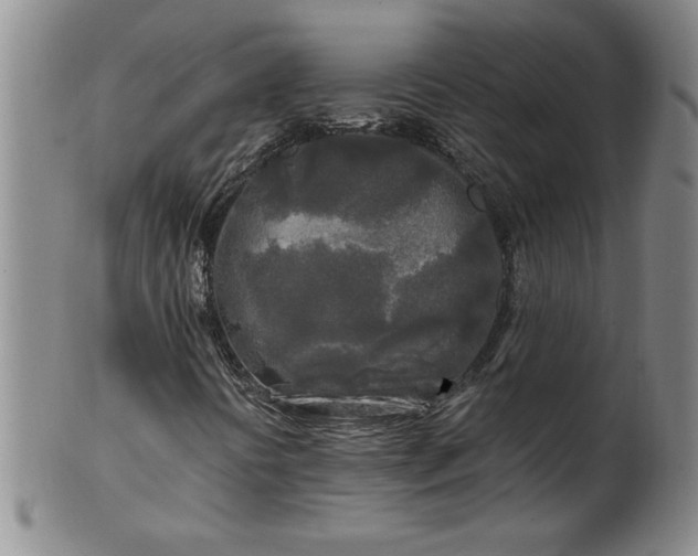 X0000100971394200807081208