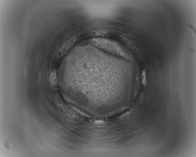 X0000100971395200807081208
