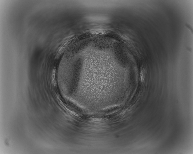 X0000100971396200807081208