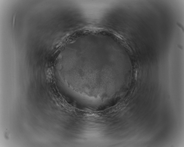 X0000100971397200807081208