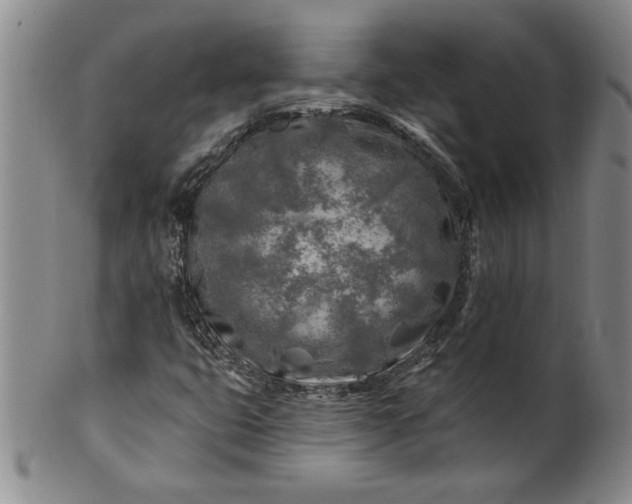 X0000100971399200807081208