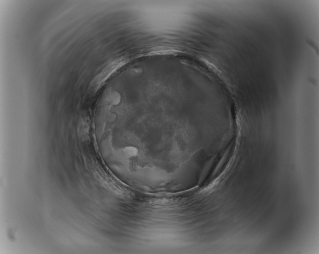 X0000100971401200807081208