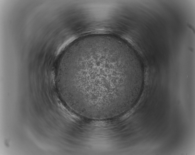 X0000100971402200807081208