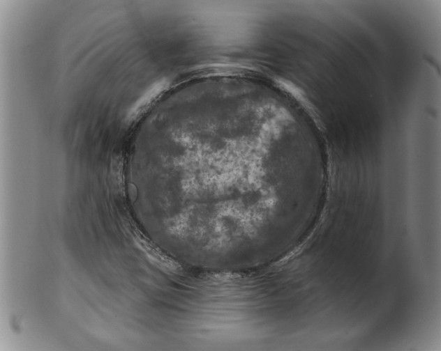X0000100971403200807081208