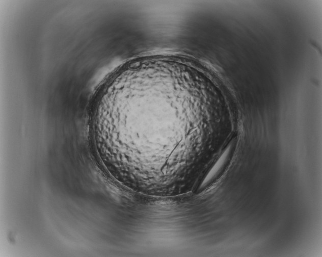 X0000100971406200807081208