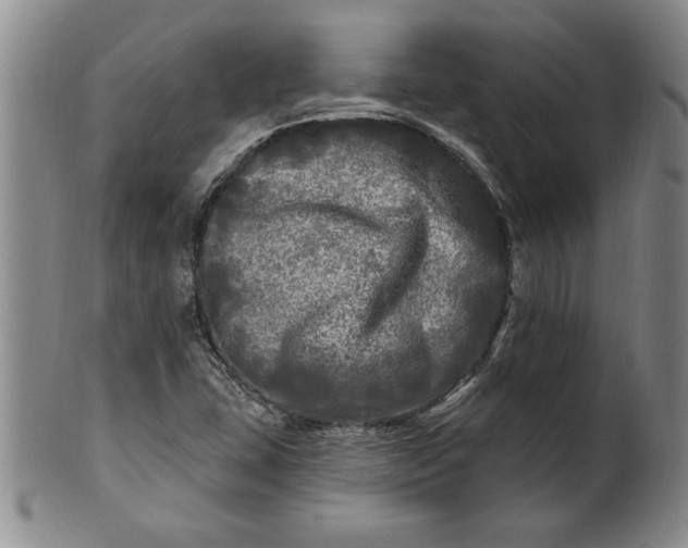 X0000100971407200807081208