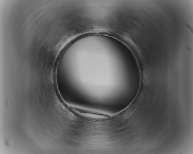 X0000100971412200807081208