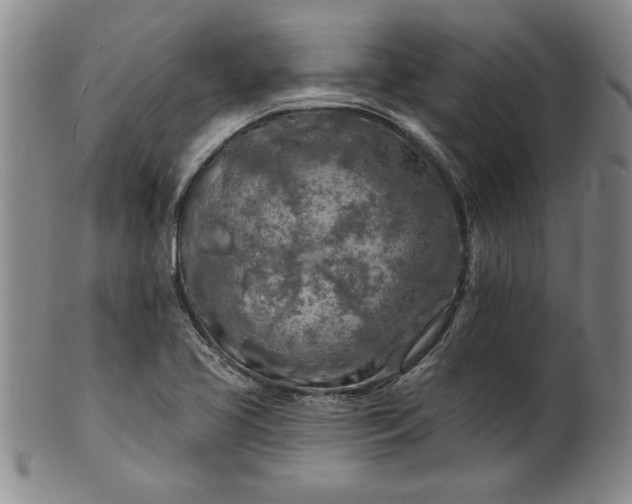 X0000100971413200807081208