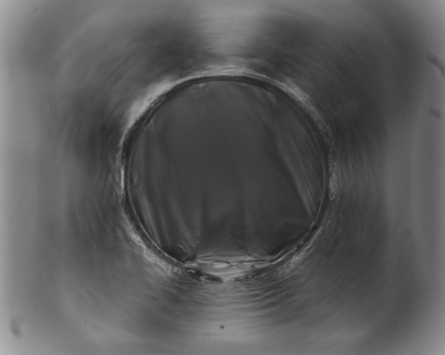 X0000100971414200807081208
