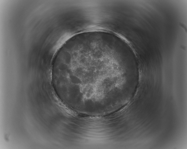X0000100971415200807081208