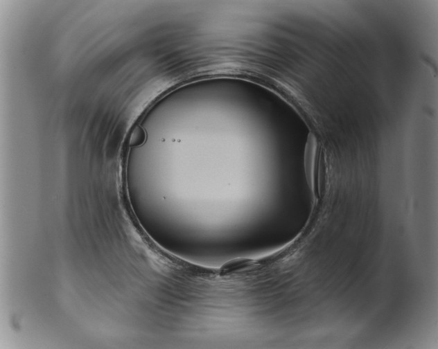 X0000100971418200807081208
