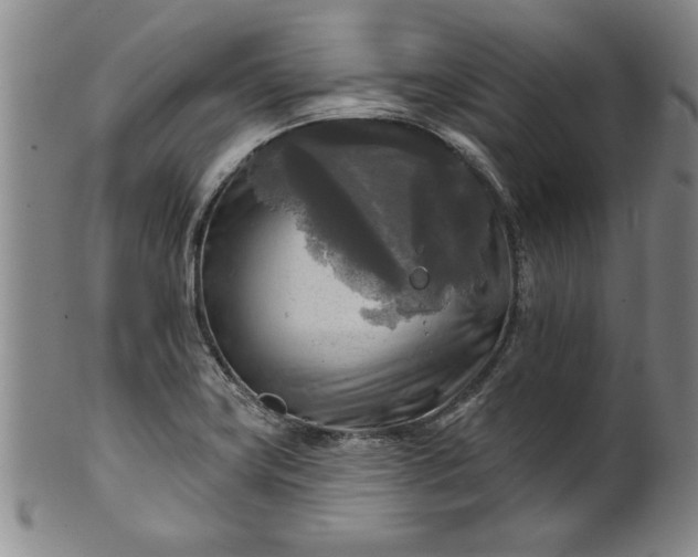 X0000100971419200807081208