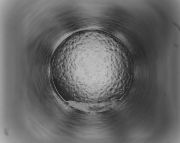 X0000100971420200807081208