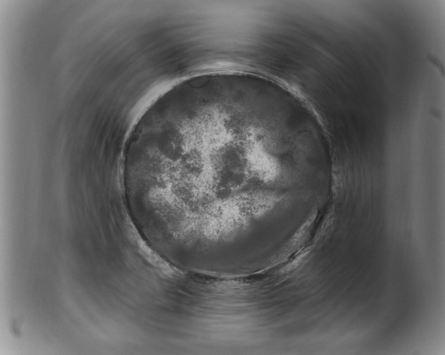 X0000100971421200807081208