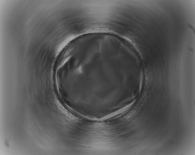 X0000100971422200807081208