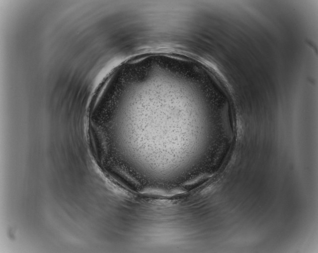 X0000100971424200807081208