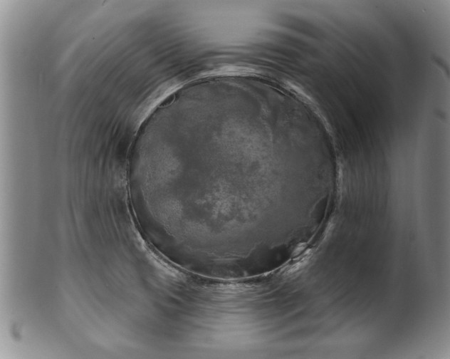 X0000100971425200807081208