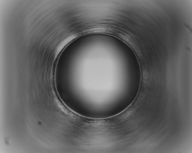 X0000100971426200807081208