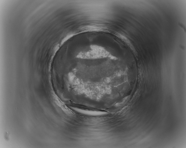 X0000100971427200807081208