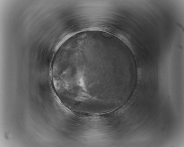 X0000100971428200807081208