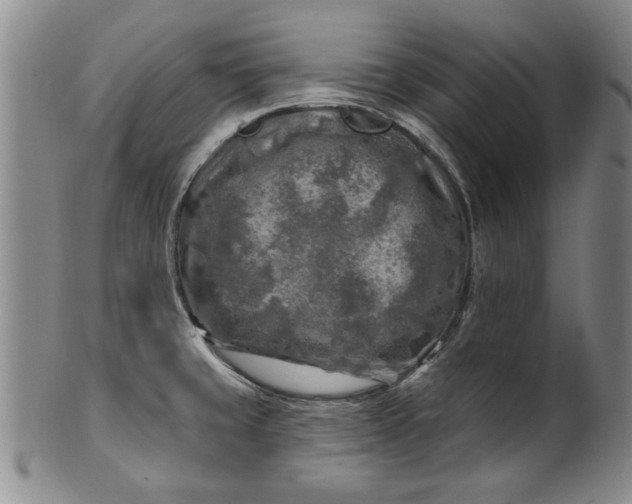 X0000100971429200807081208