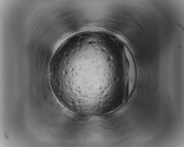 X0000100971430200807081208
