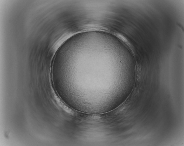 X0000100971431200807081208