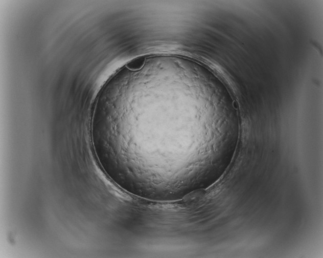 X0000100971432200807081208
