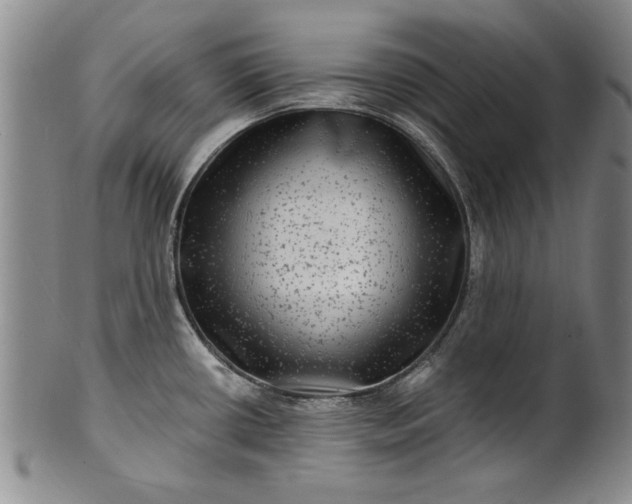 X0000100971434200807081208