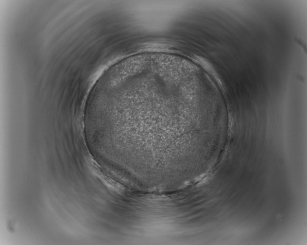 X0000100971435200807081208