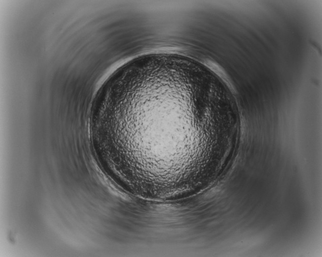 X0000100971436200807081208