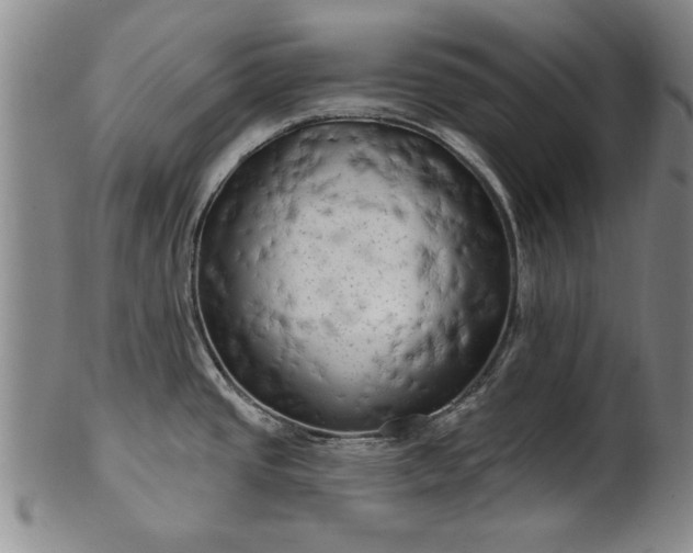 X0000100971437200807081208