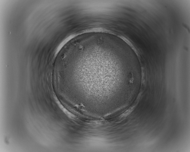 X0000100971438200807081208