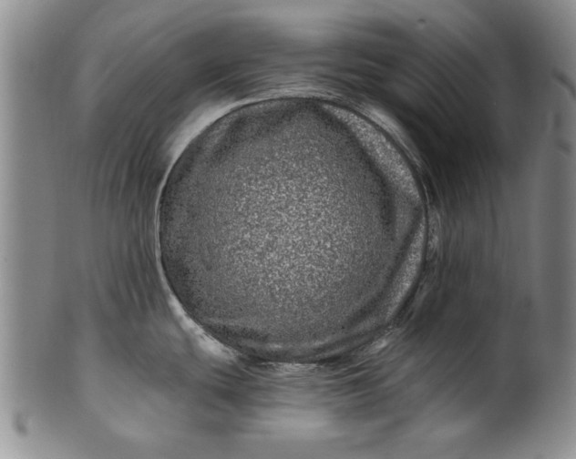 X0000100971439200807081208