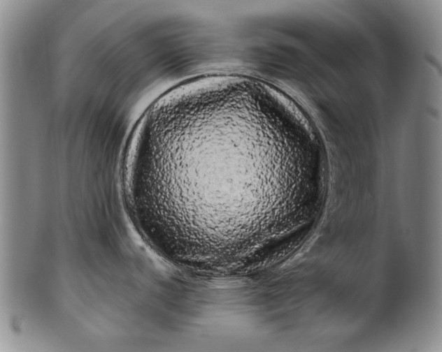 X0000100971440200807081208
