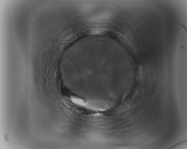 X0000100971441200807081208