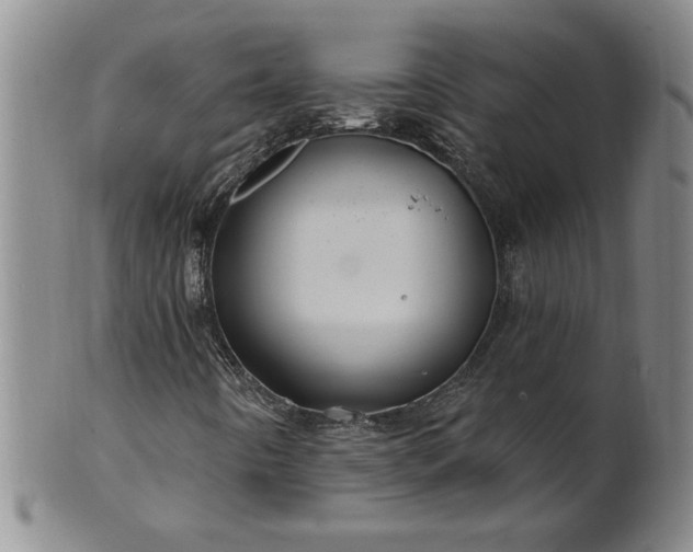 X0000100971442200807081208