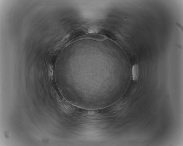 X0000100971443200807081208