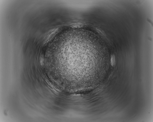 X0000100971444200807081208