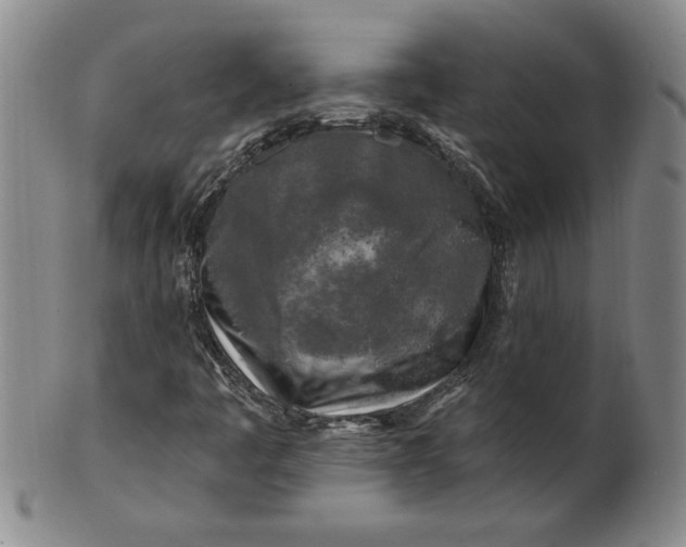 X0000100971445200807081207
