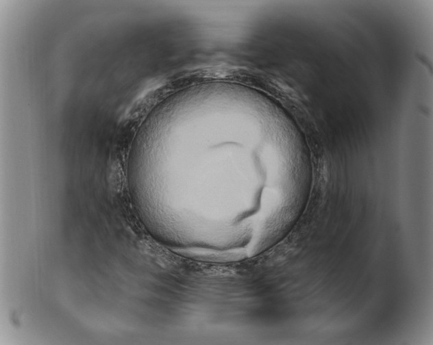X0000100971446200807081207