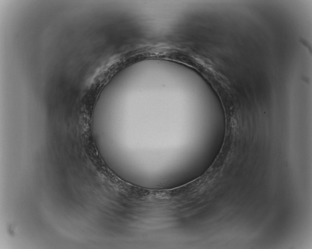 X0000100971447200807081207