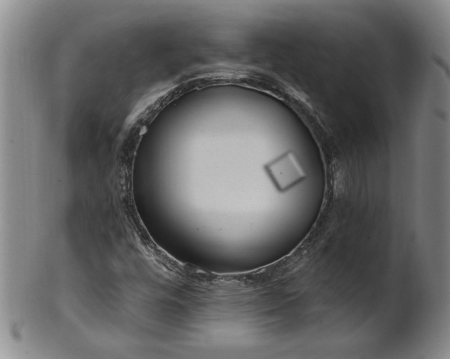 X0000100971448200807081207